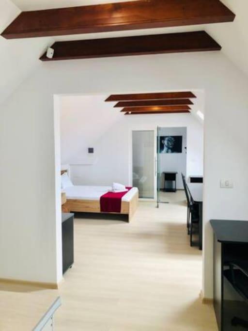 Joy City Stay Unirii 41 2 Temeşvar Dış mekan fotoğraf